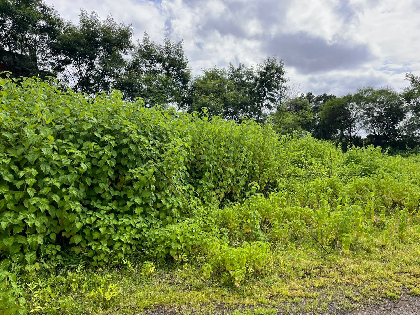 Property Photos 6