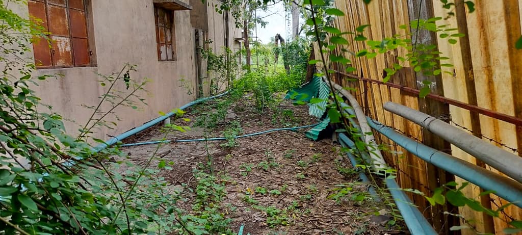 Property Photos 33