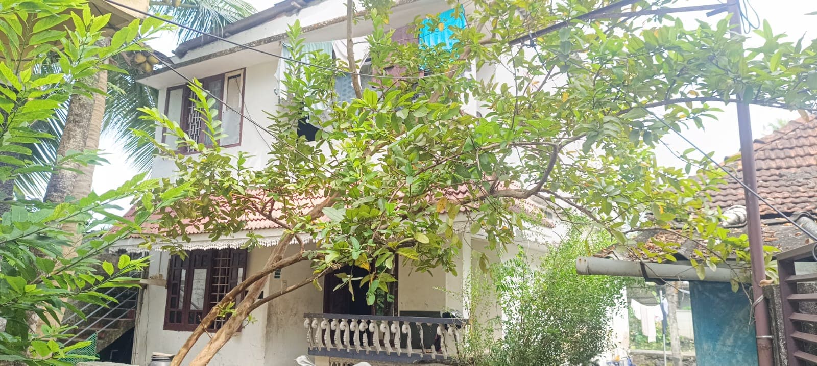 Property Photos 2