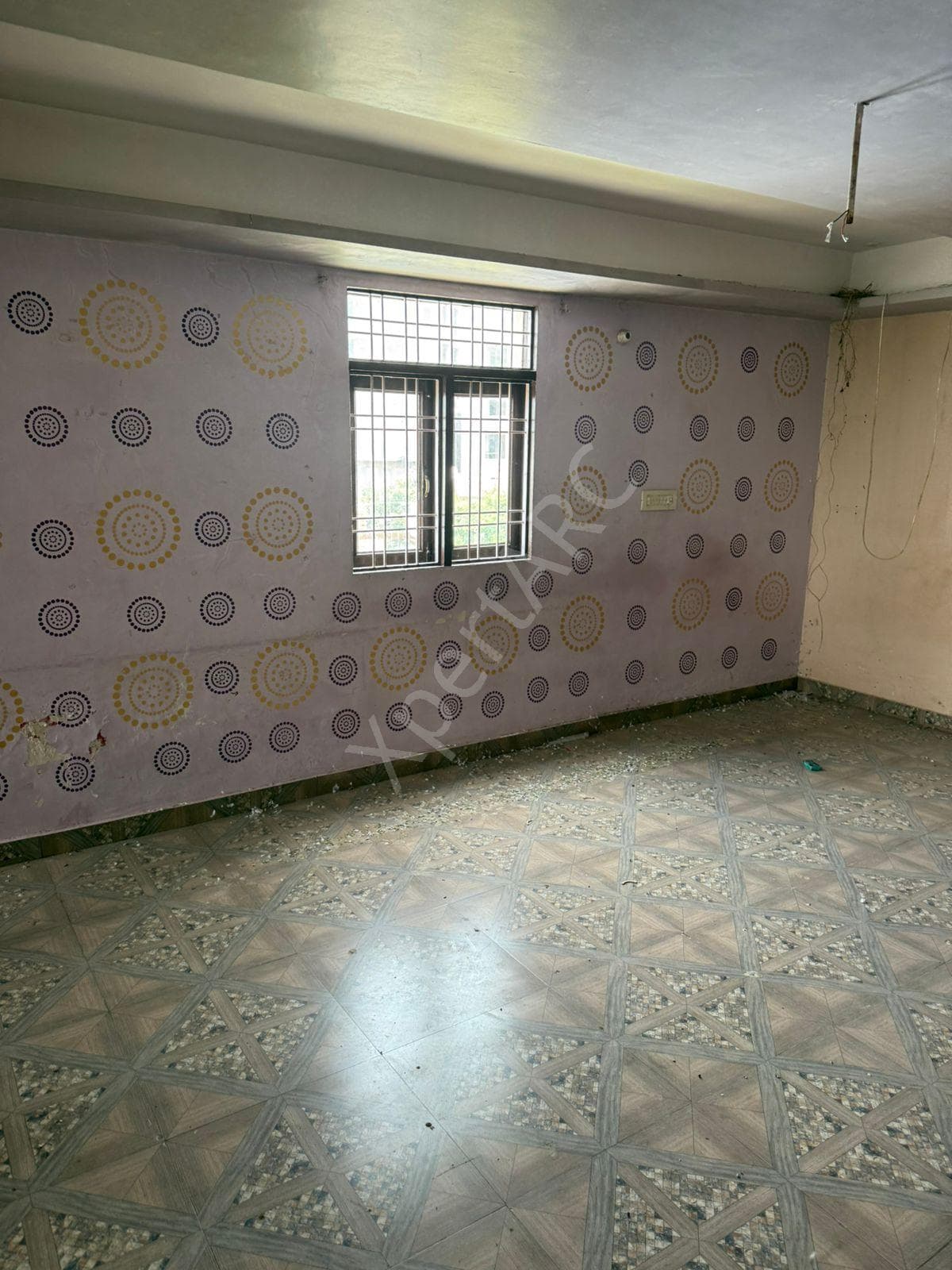 Property Photos 4