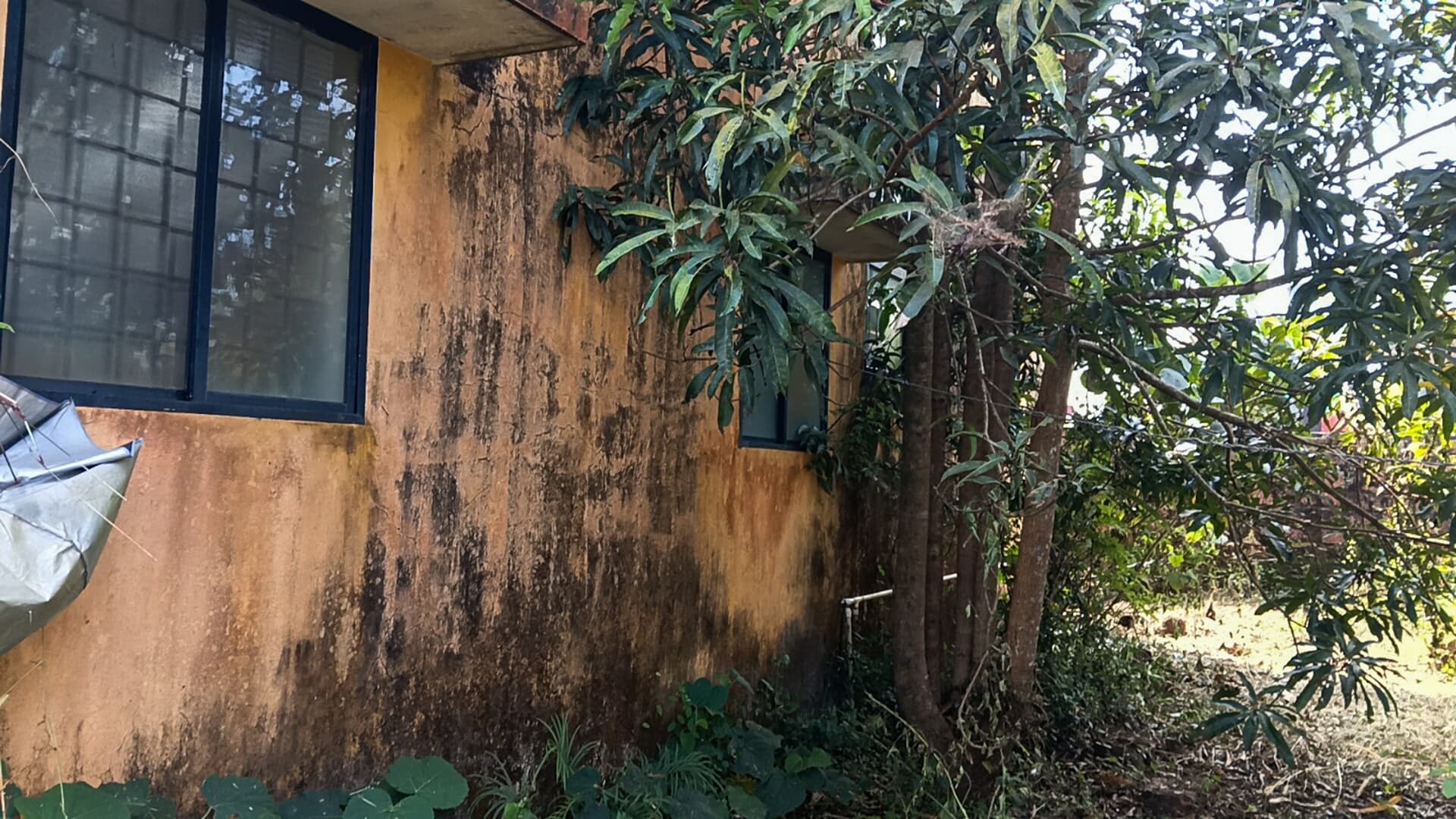 Property Photos 6