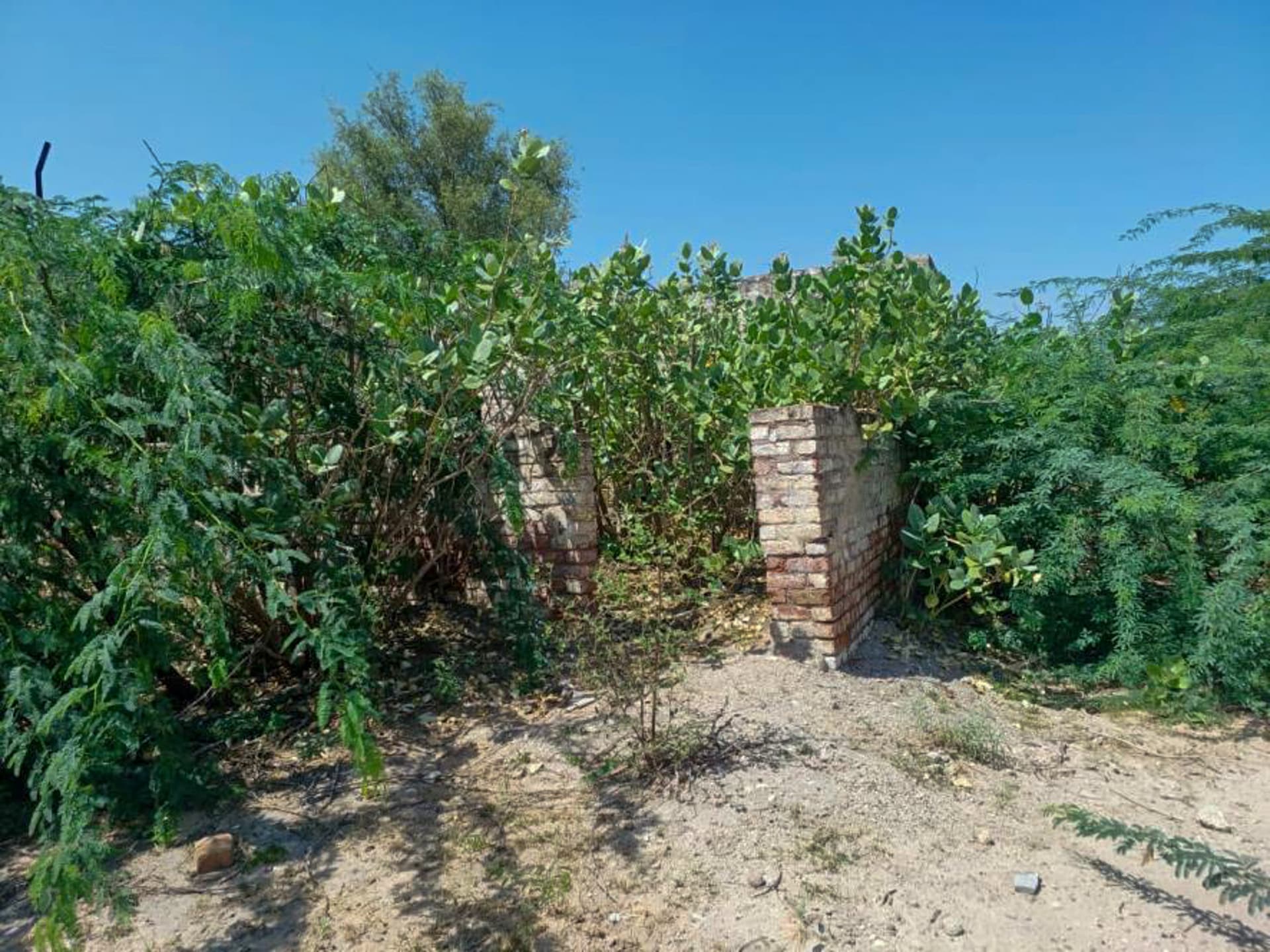 Property Photos 12