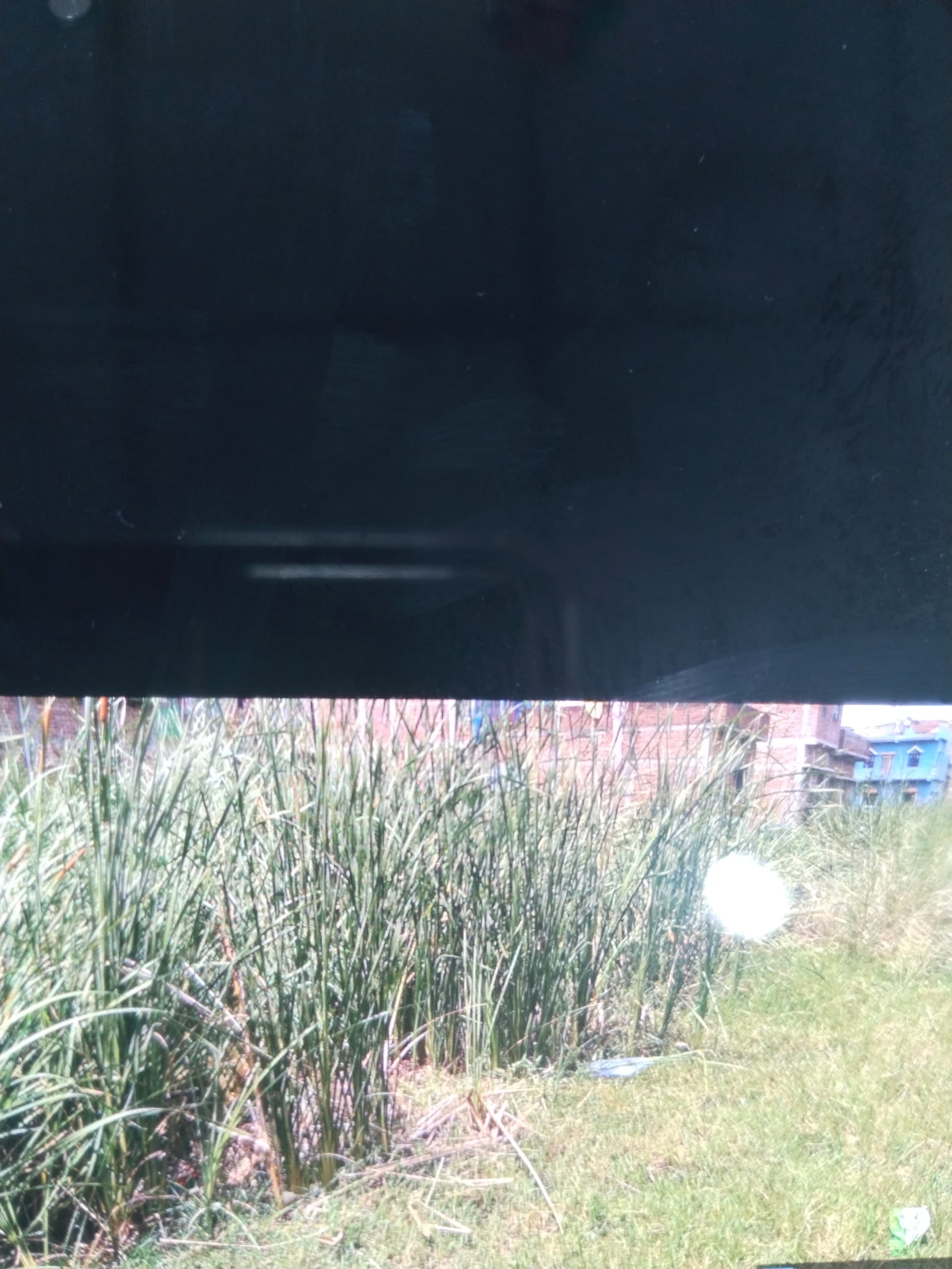 Property Photos 2