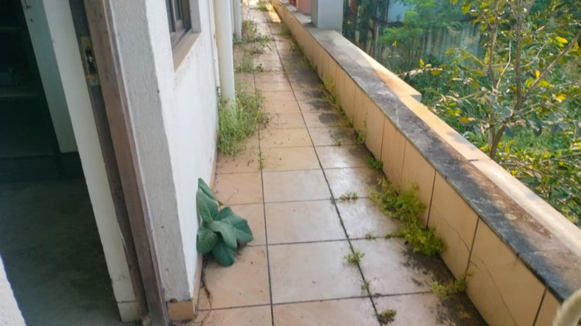 Property Photos 20