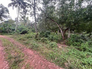 Property Photos 6