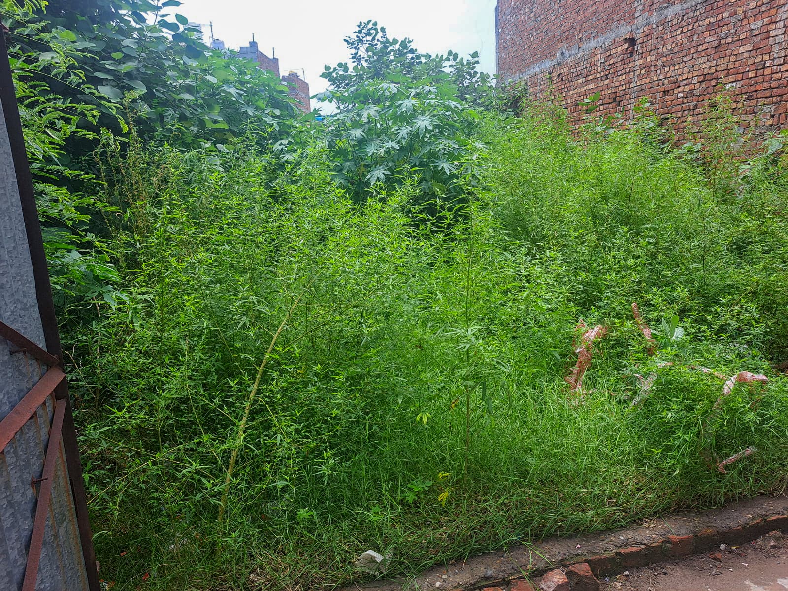 Property Photos 2
