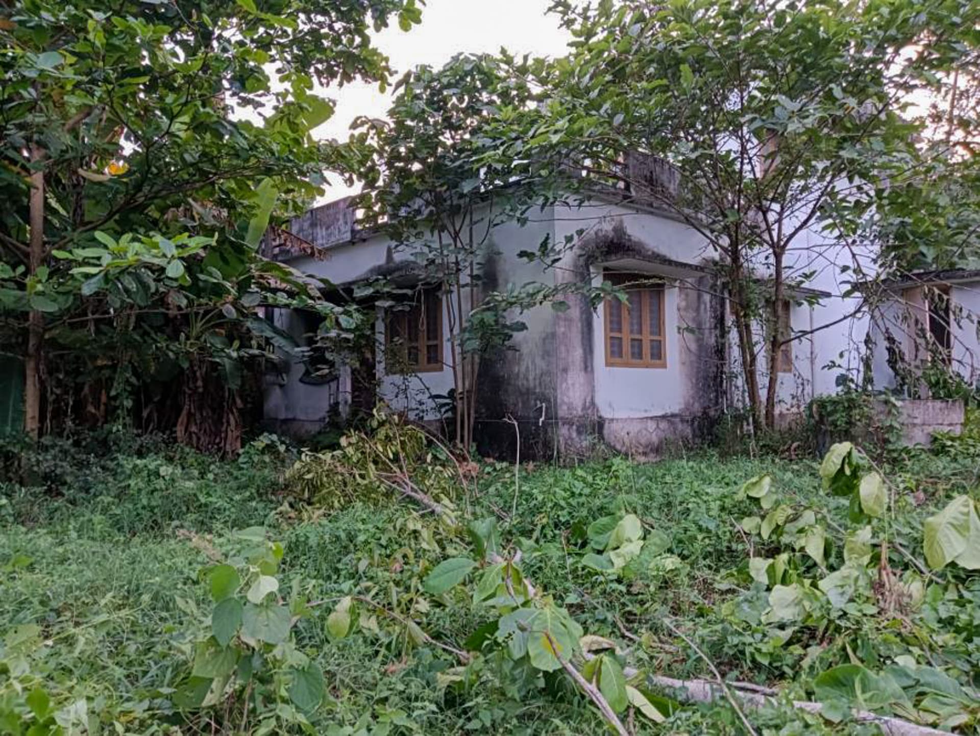 Property Photos 19