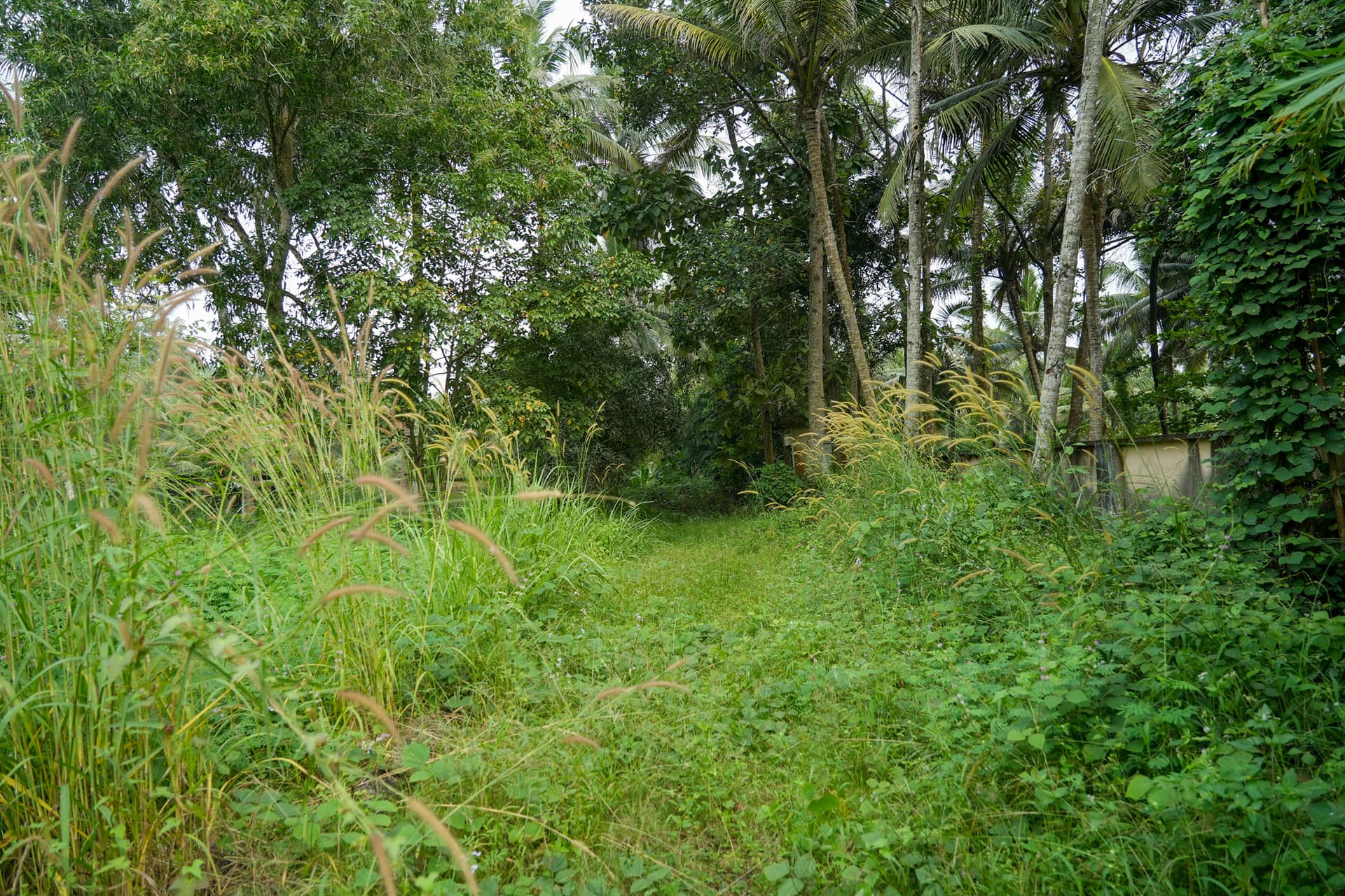 Property Photos 5