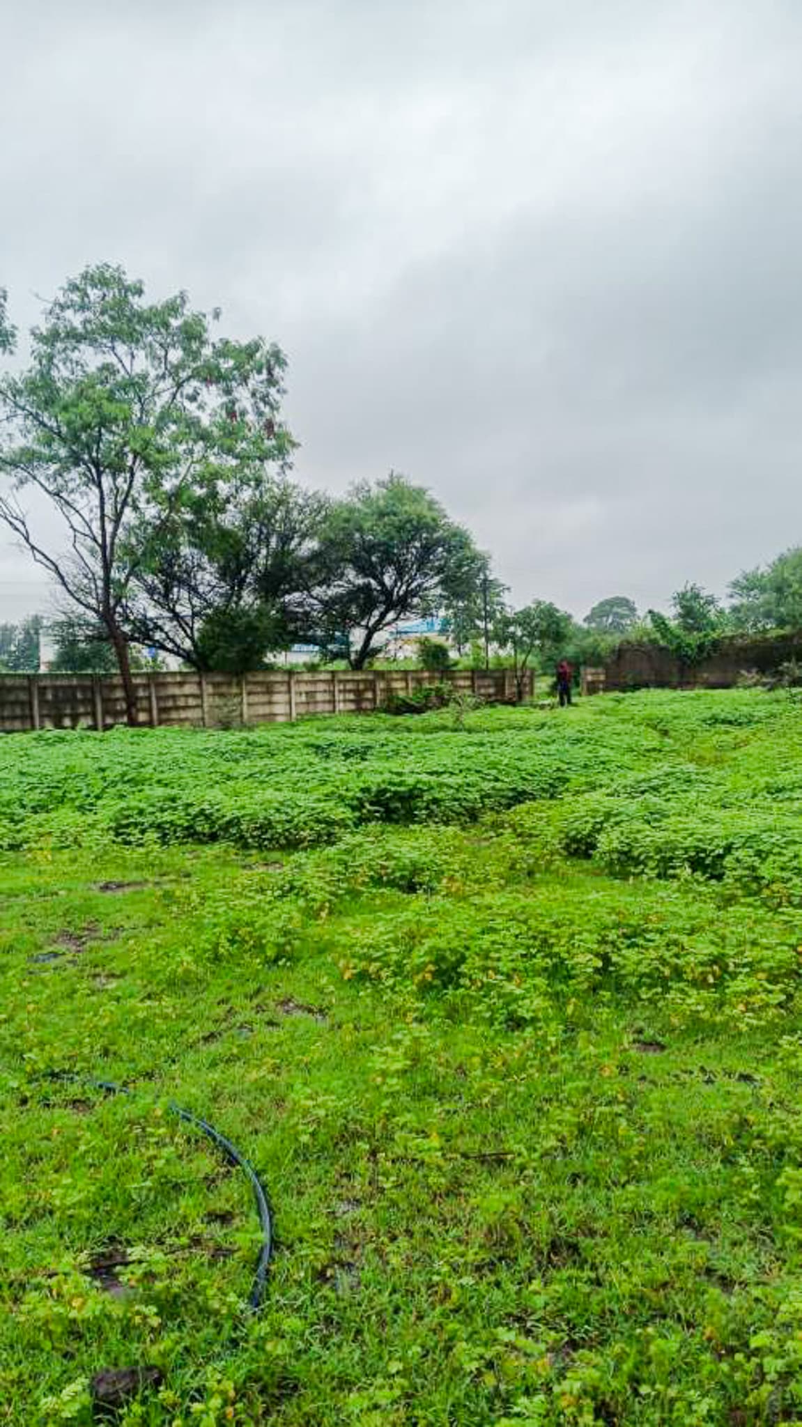 Property Photos 8