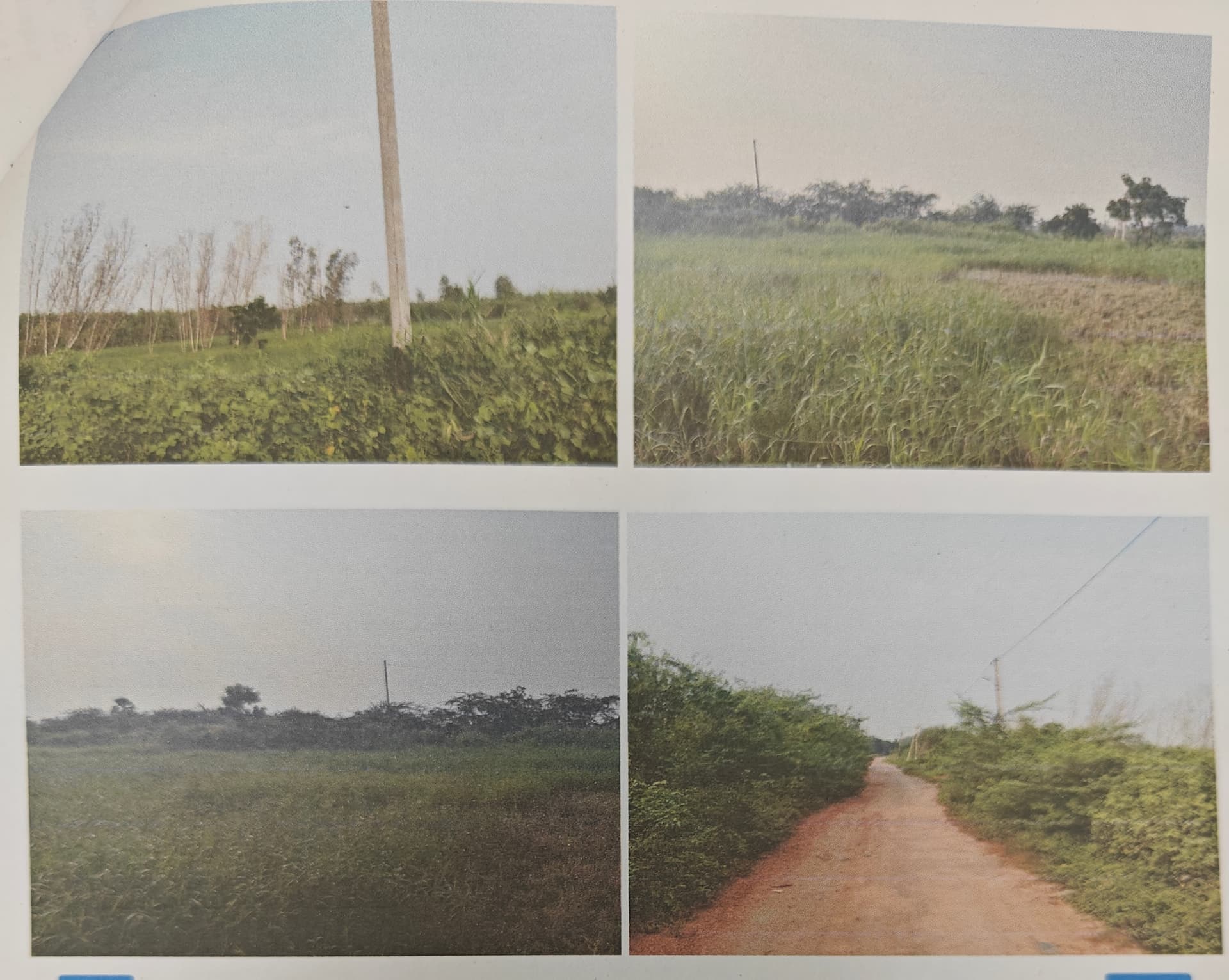 Property Photos 2