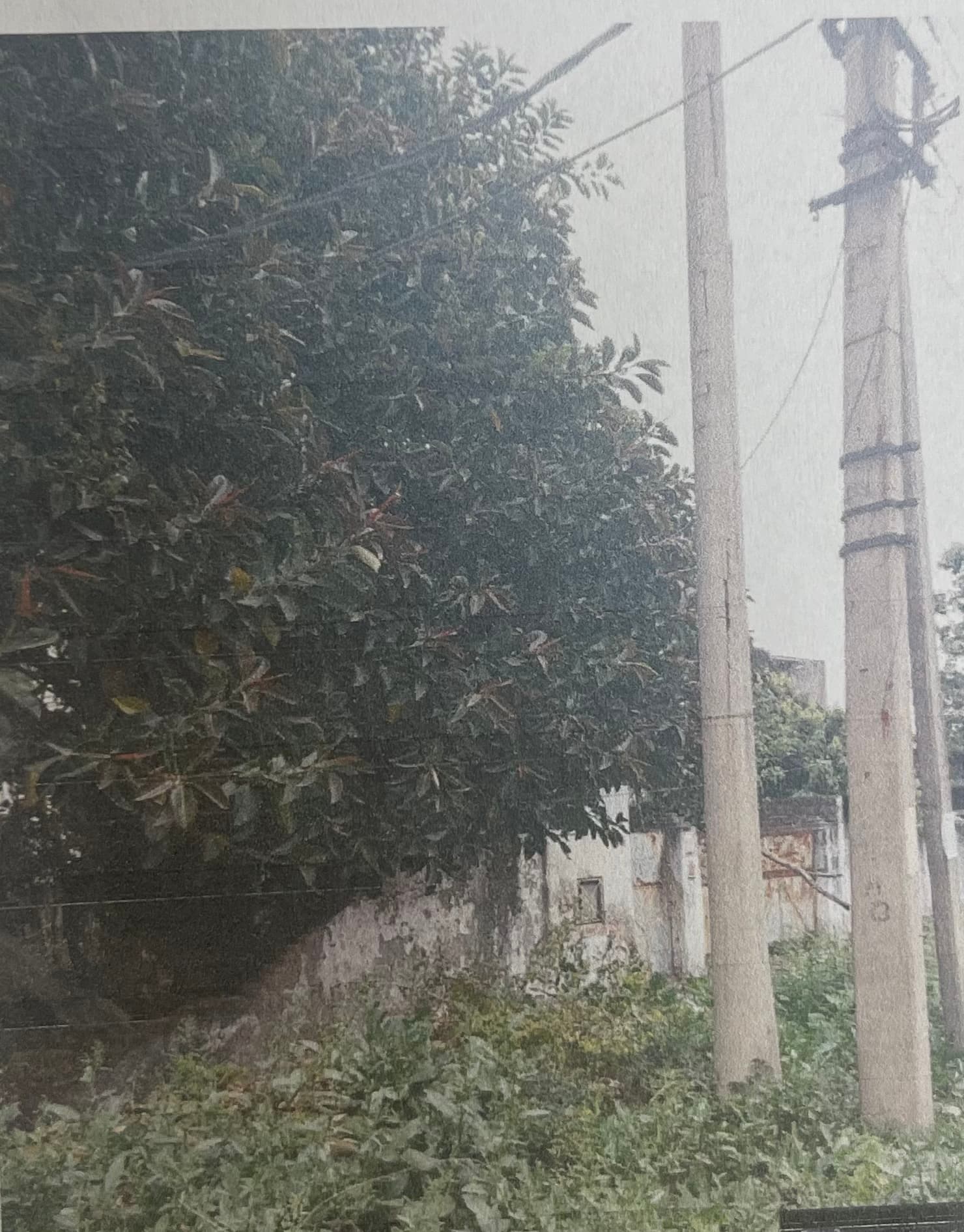 Property Photos 5