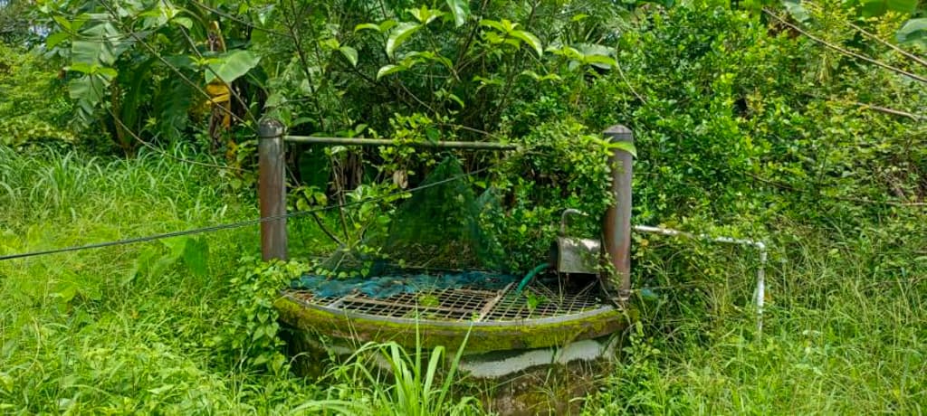 Property Photos 22
