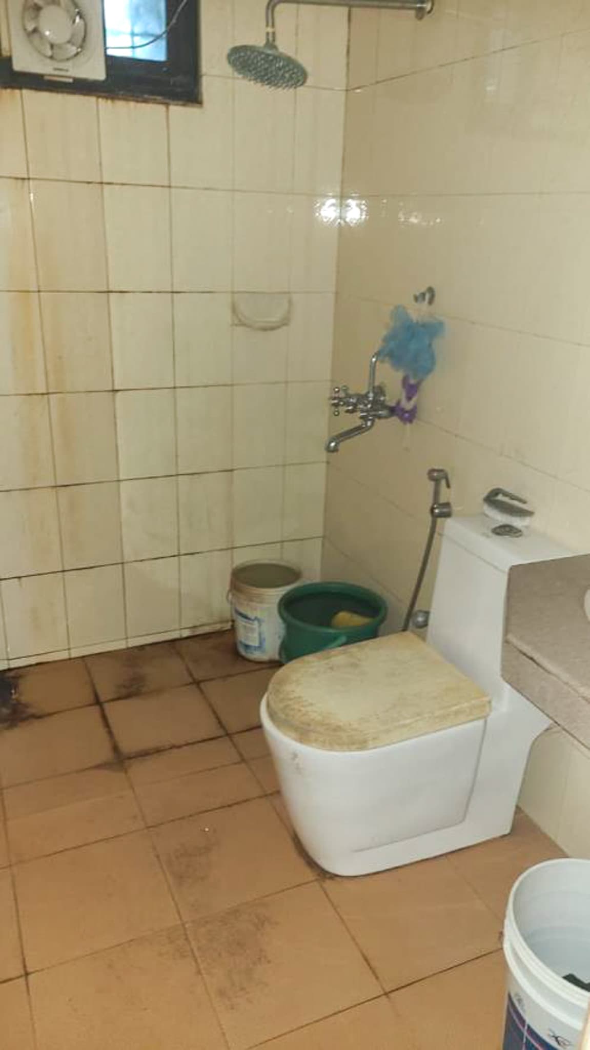 Property Photos 23