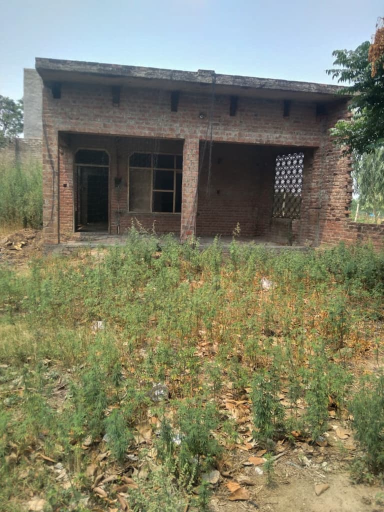 Property Photos 7