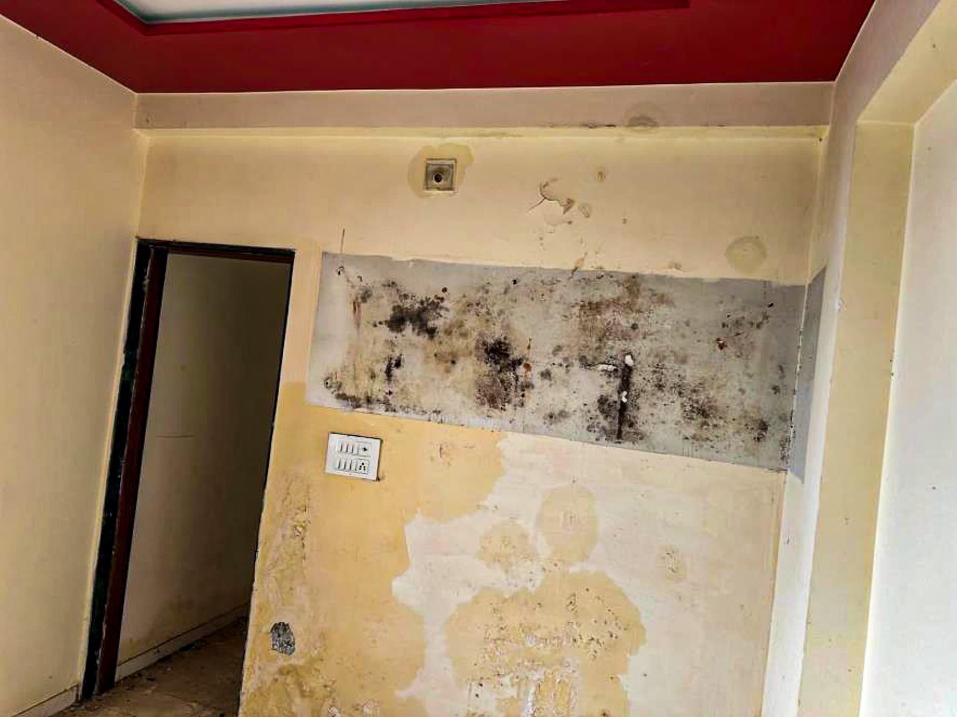 Property Photos 6