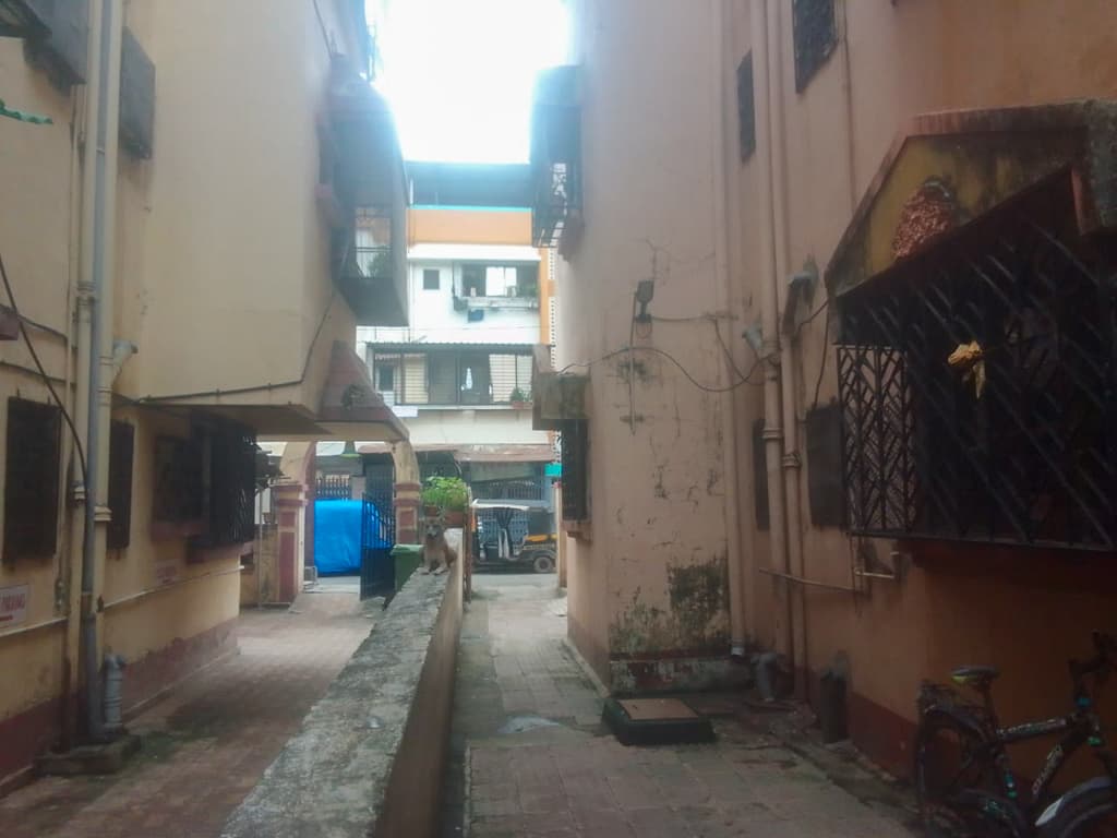 Property Photos 2