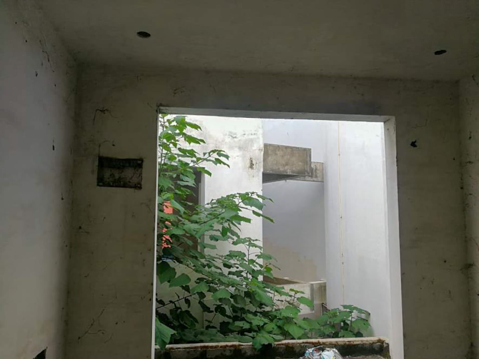 Property Photos 2