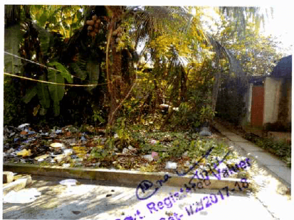Property Photos 2