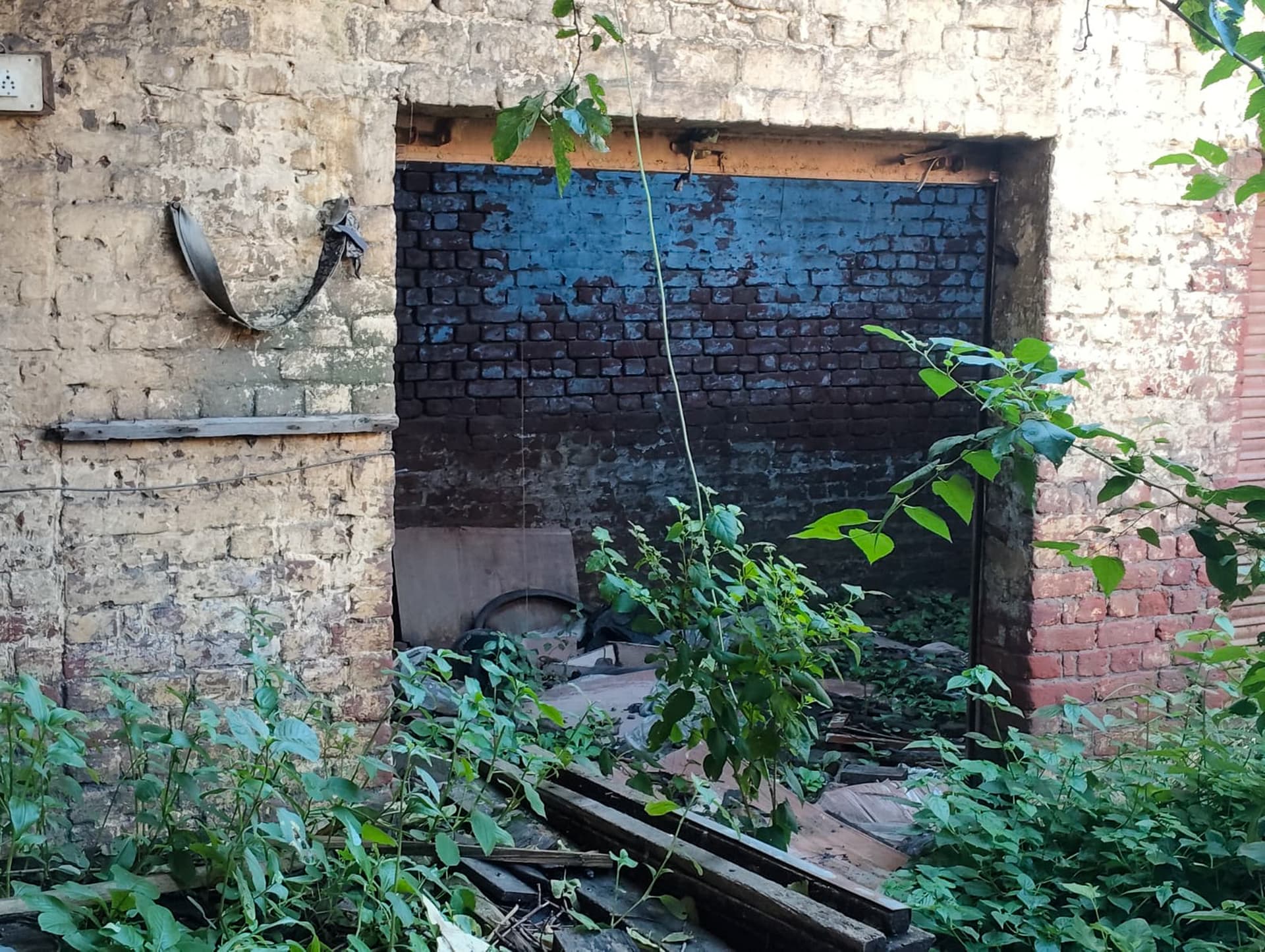 Property Photos 5