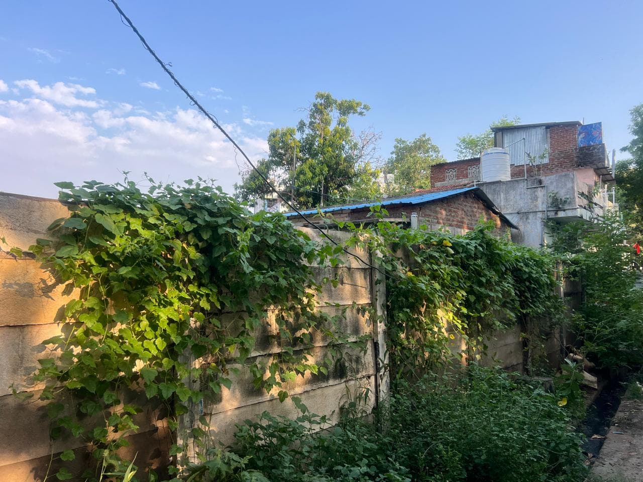 Property Photos 16