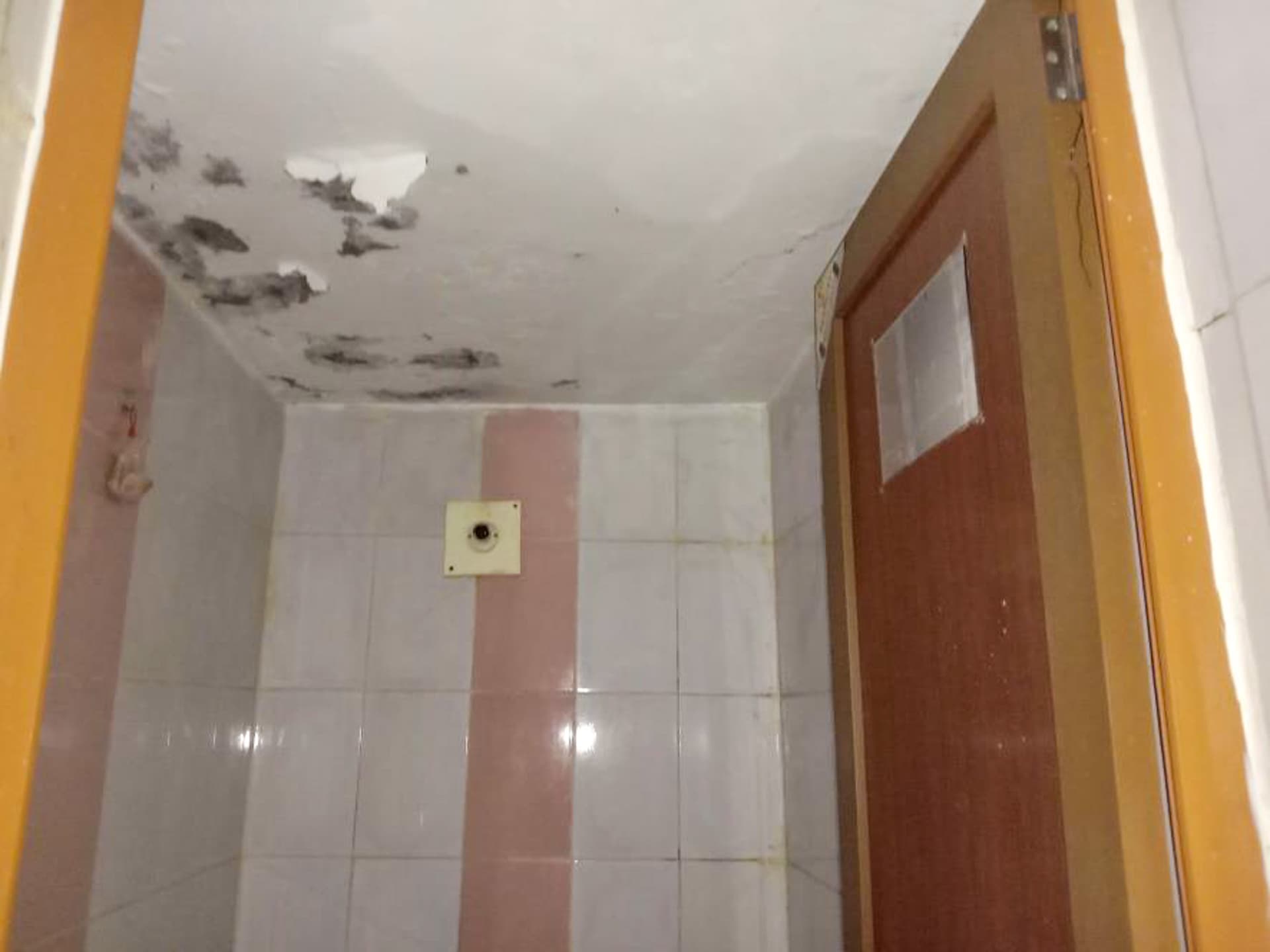 Property Photos 4