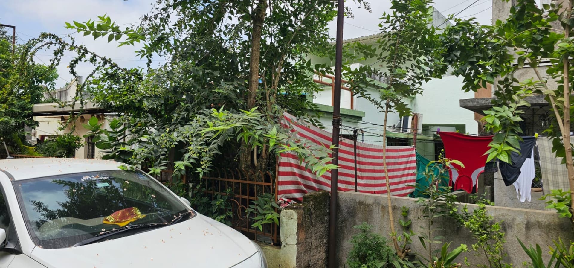 Property Photos 2