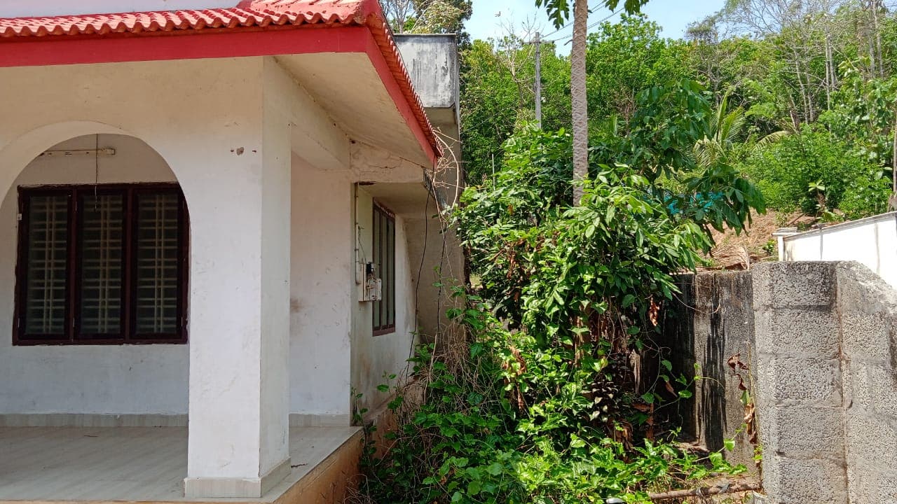 Property Photos 4
