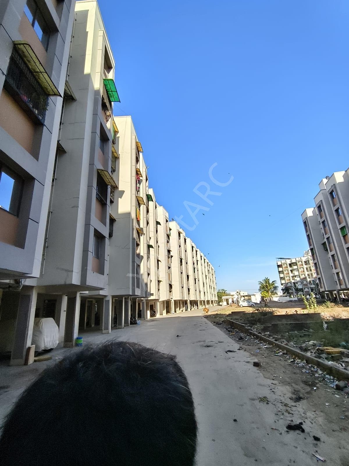 Property Photos 6