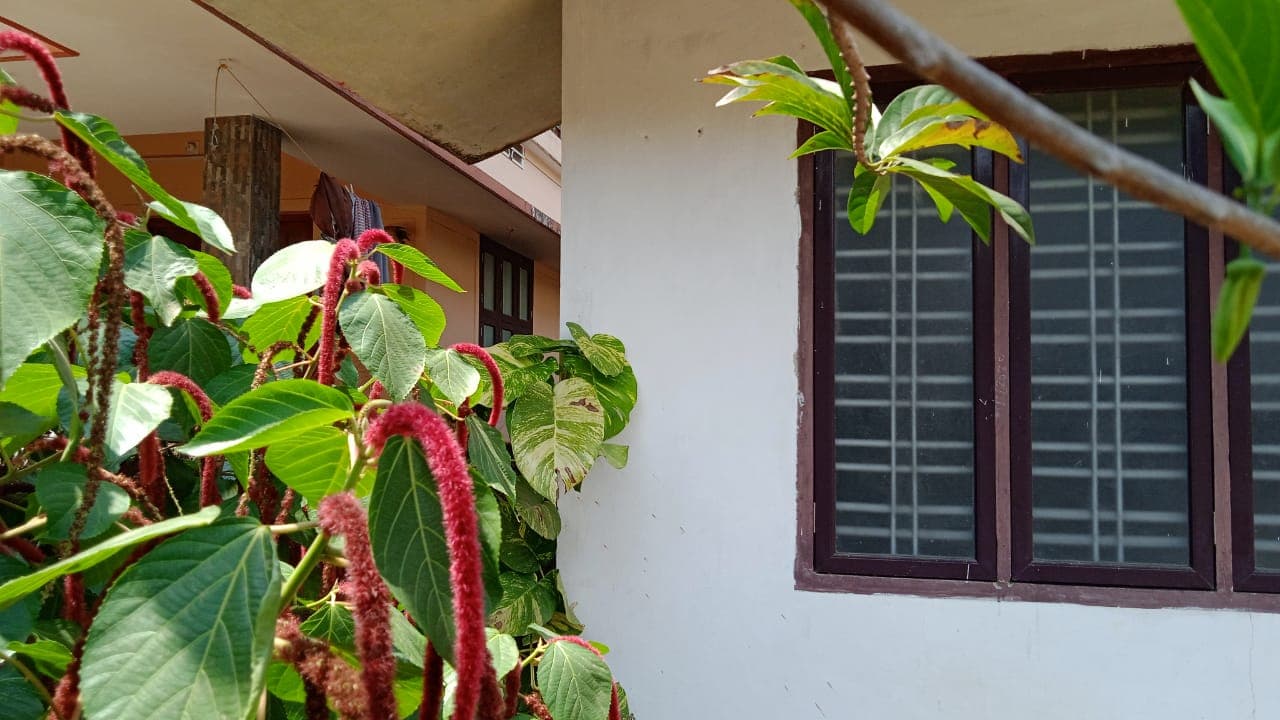 Property Photos 5