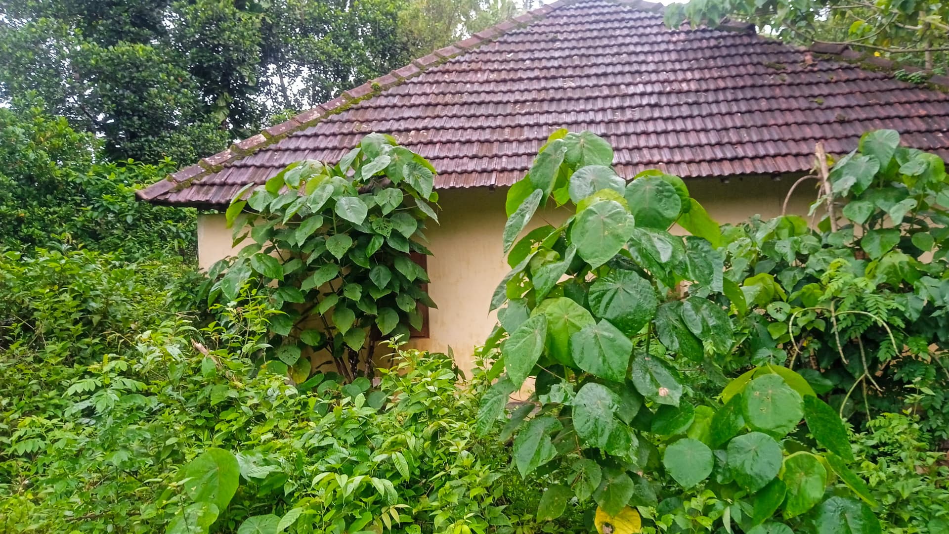 Property Photos 6