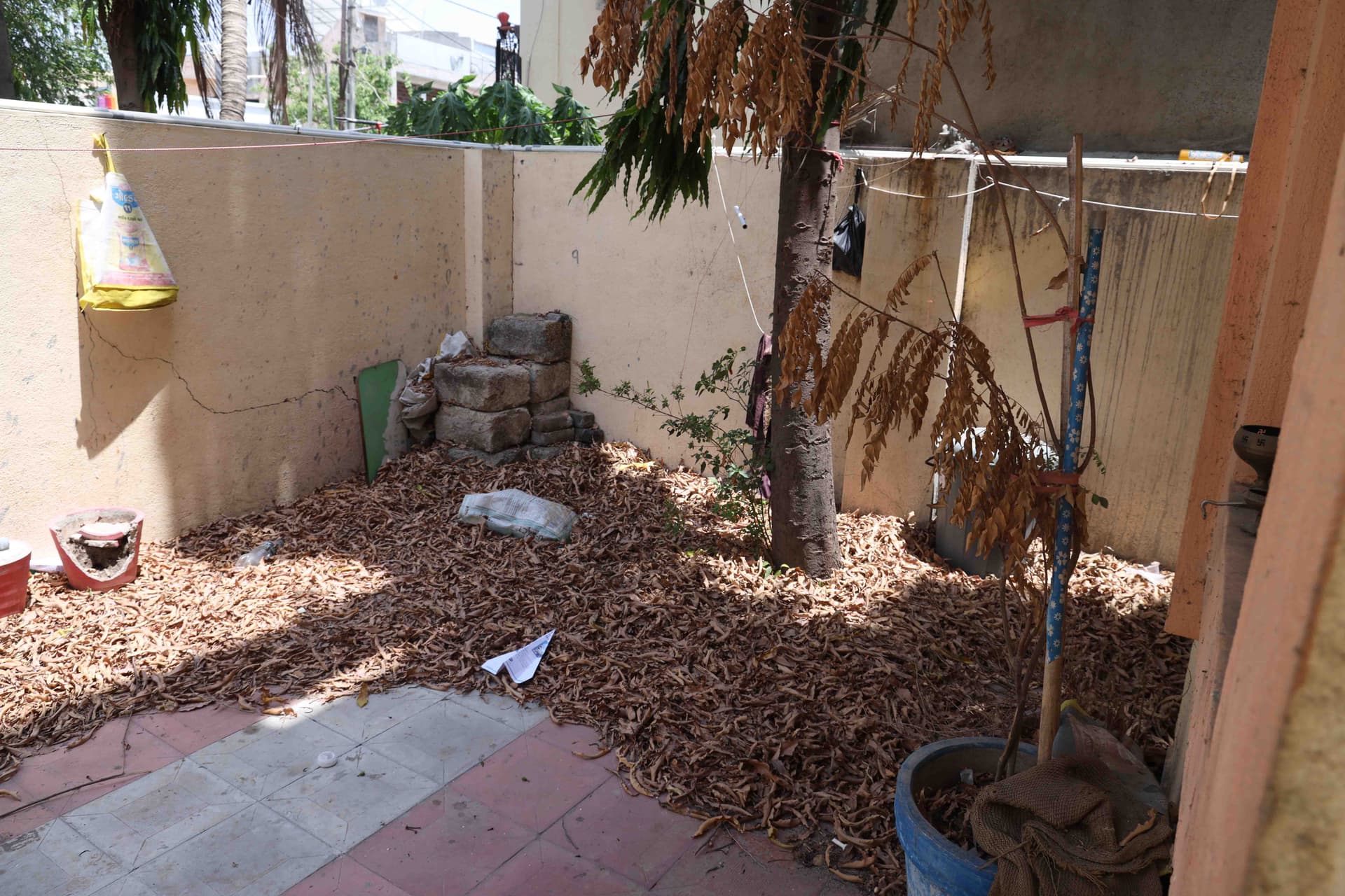 Property Photos 6