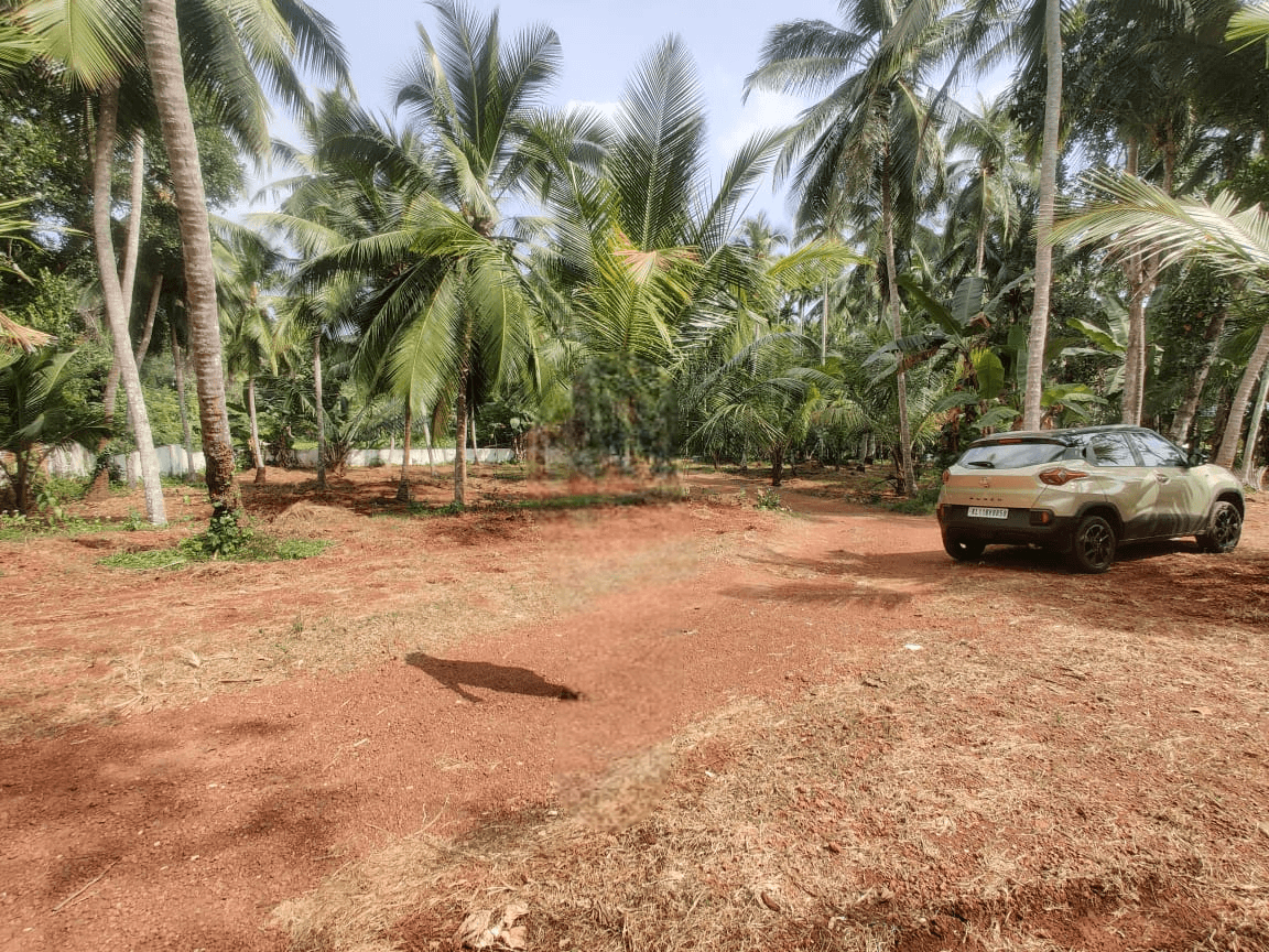 Property Photos 7