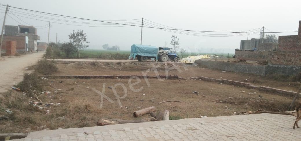 Property Photos 6