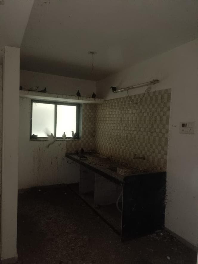 Property Photos 2