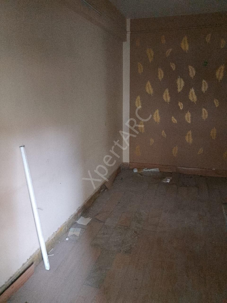 Property Photos 5