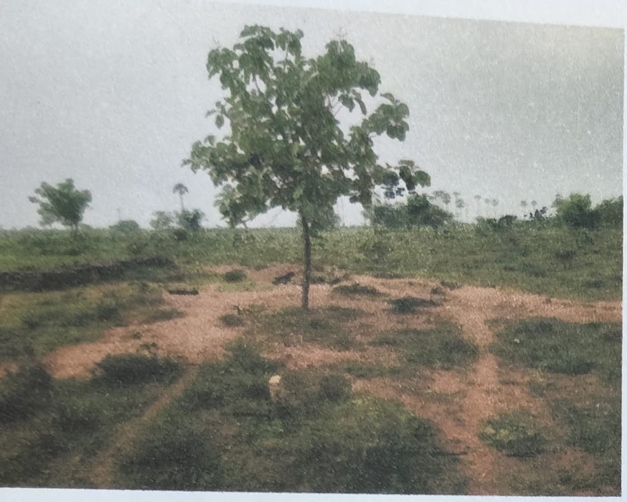 Property Photos 4