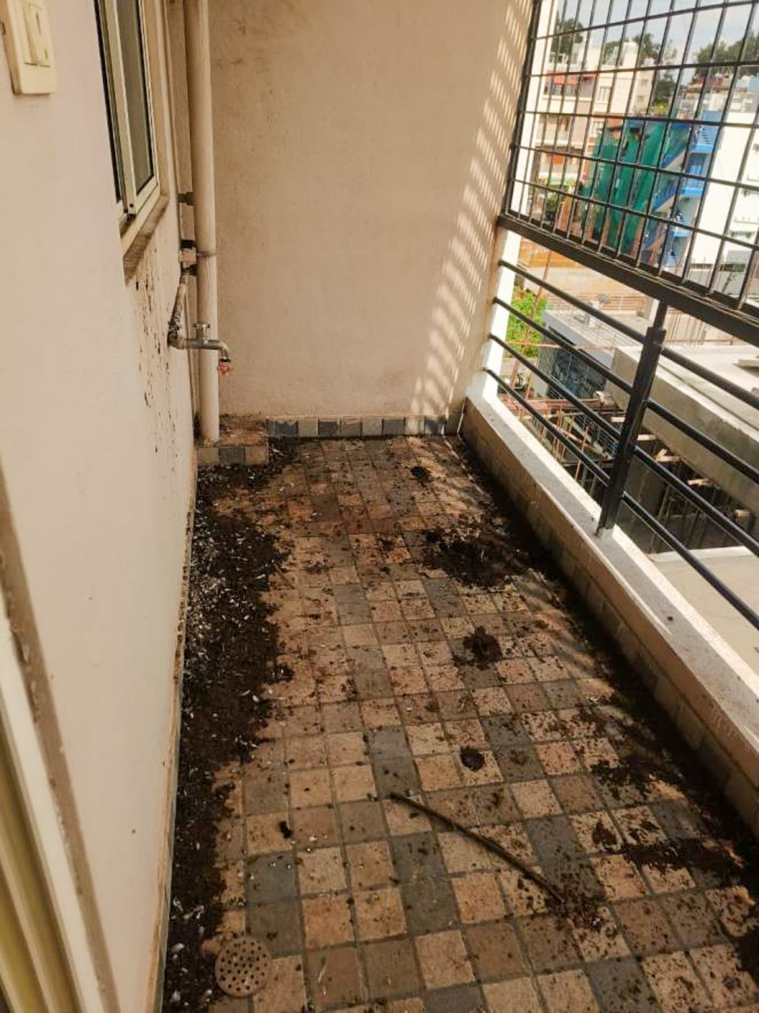 Property Photos 10