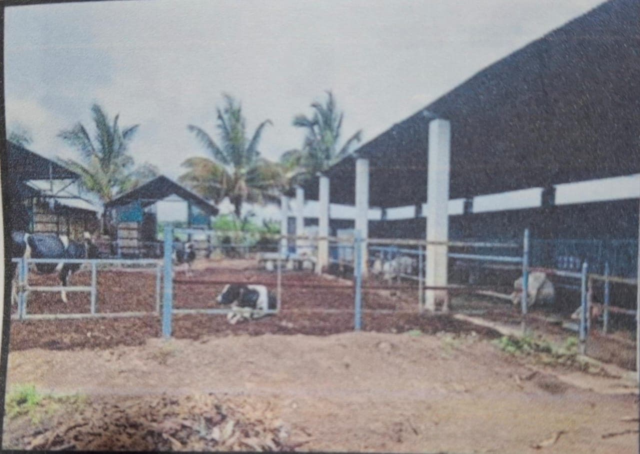 Property Photos 1