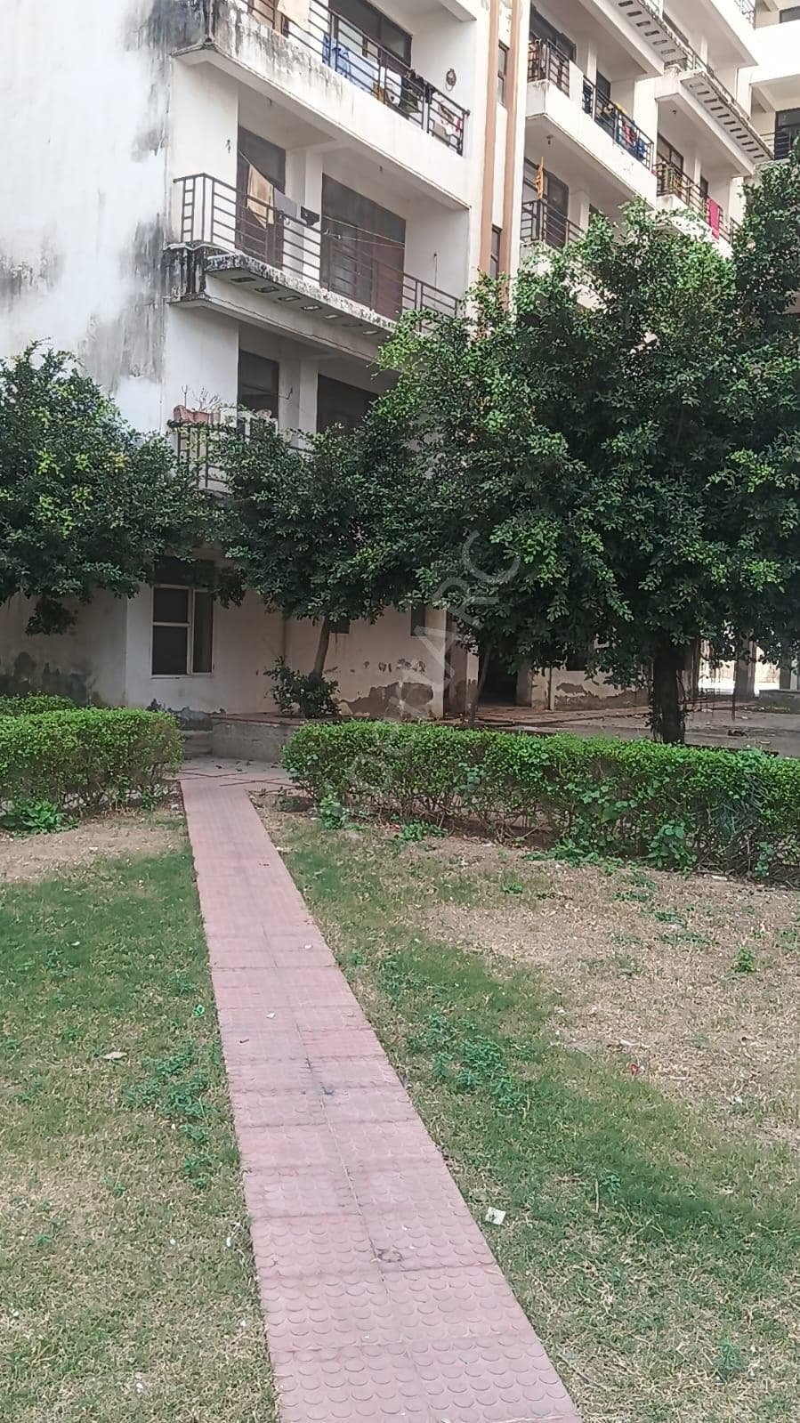 Property Photos 19