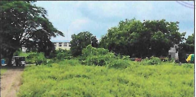Property Photos 6