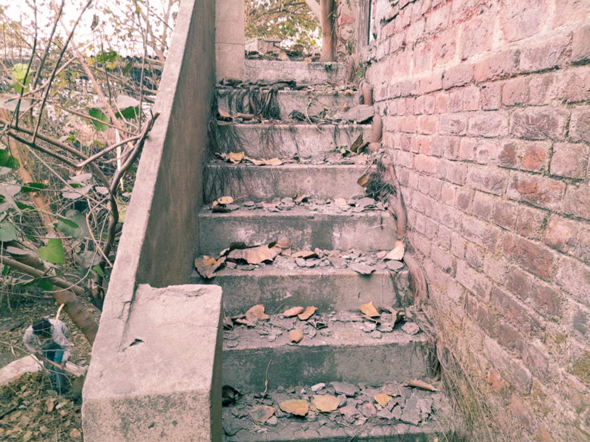 Property Photos 18