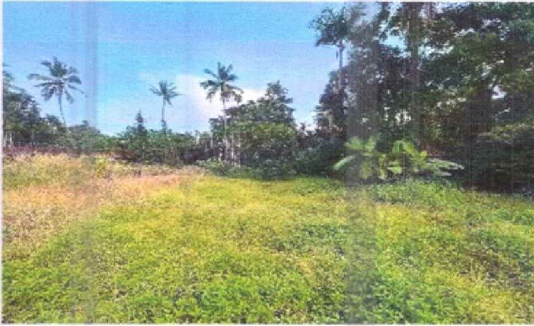 Property Photos 3
