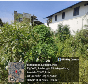 Property Photos 2
