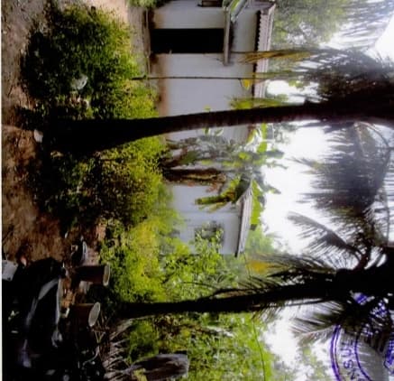 Property Photos 2