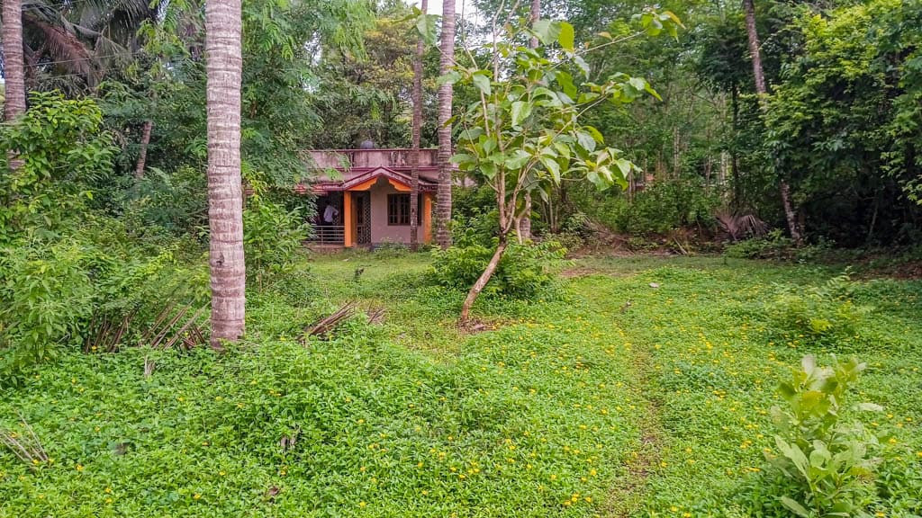 Property Photos 2