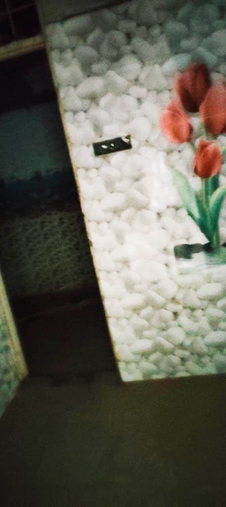 Property Photos 7