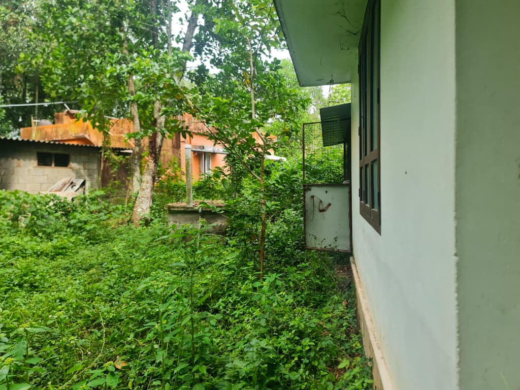 Property Photos 43