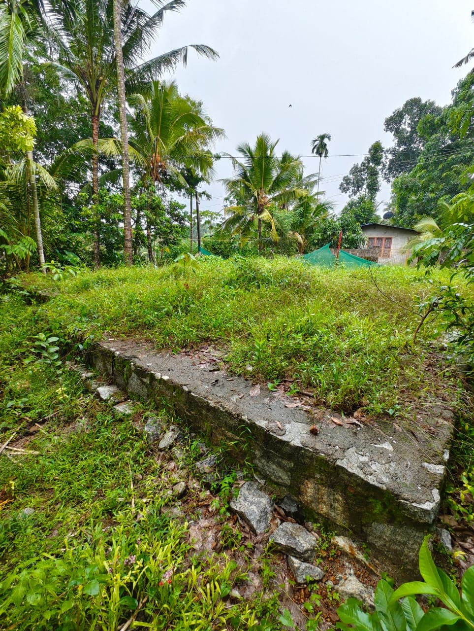 Property Photos 2