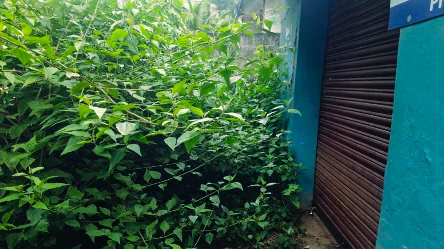 Property Photos 11