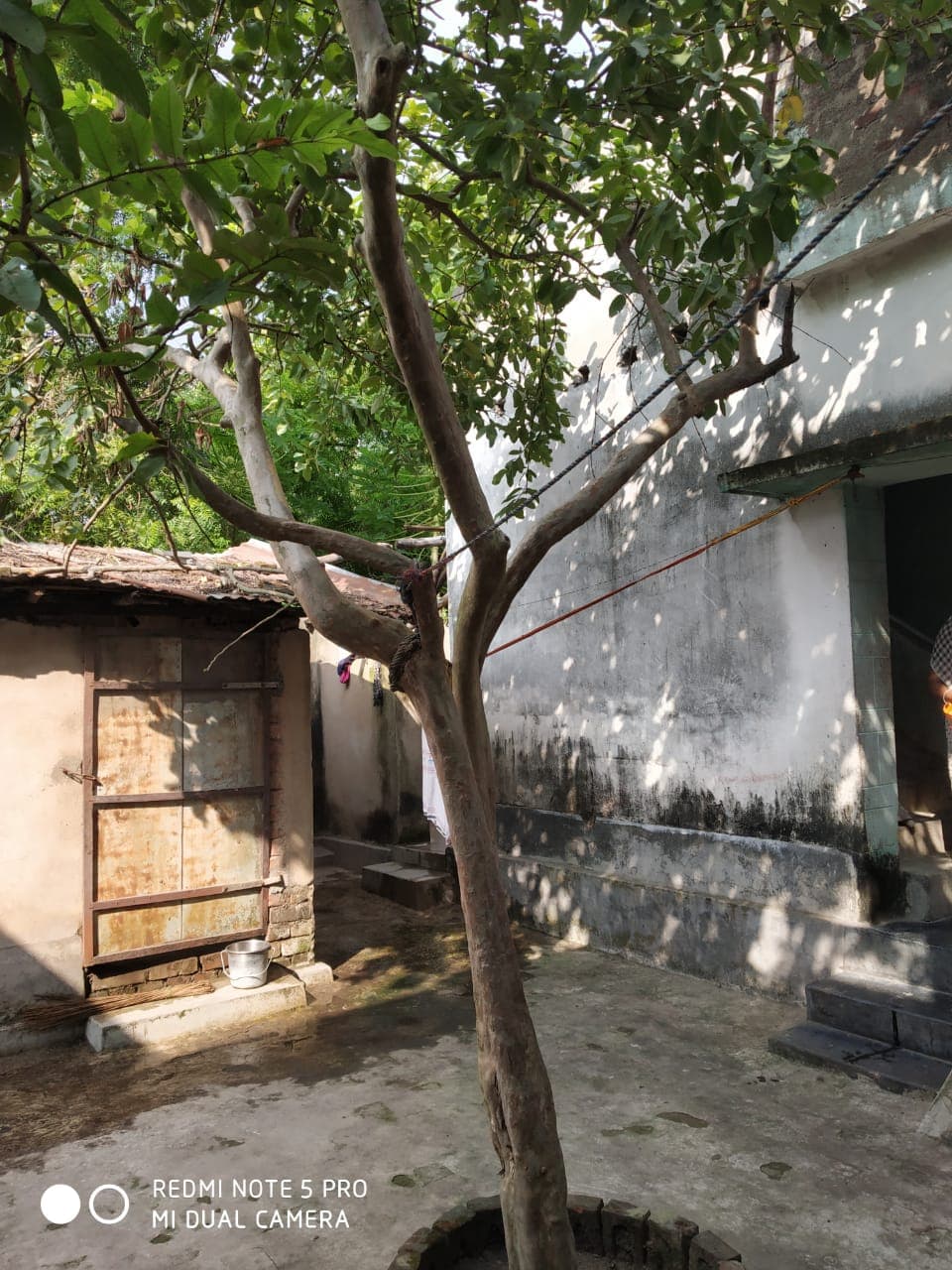 Property Photos 2